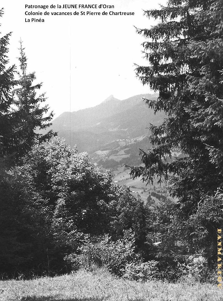COLO JEUNE FRANCE La Pinea.jpg